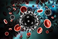 New Study Suggests U.S.-Developed HIV Antibodies Protect Animals