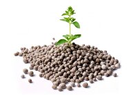 iranian-knowledge-based-company-indigenizes-‘triple-super-phosphate’-fertilizer