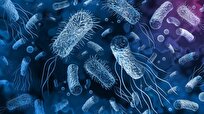 decoding-deadly-link-between-oral-microbes-cancer