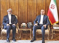 سفیر جدید ایران در کنگو با امیرعبداللهیان دیدار کرد
