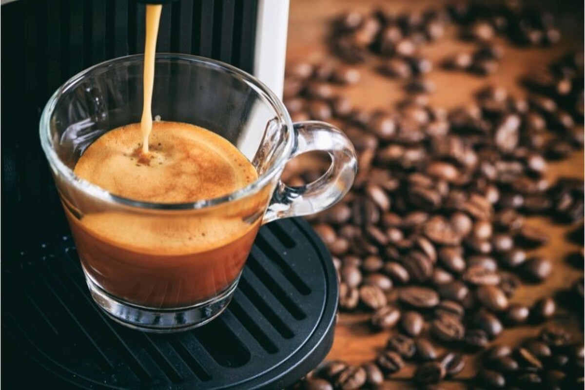 مهم ترین نکات برای خرید قهوه عربیکا و خرید قهوه روبوستا چیست؟