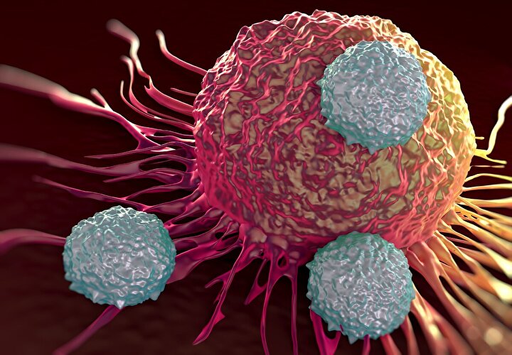 تشخیص سرطان و بافت‌های بیماری‌زا با مواد رادیواکتیو توسط محققان کشور